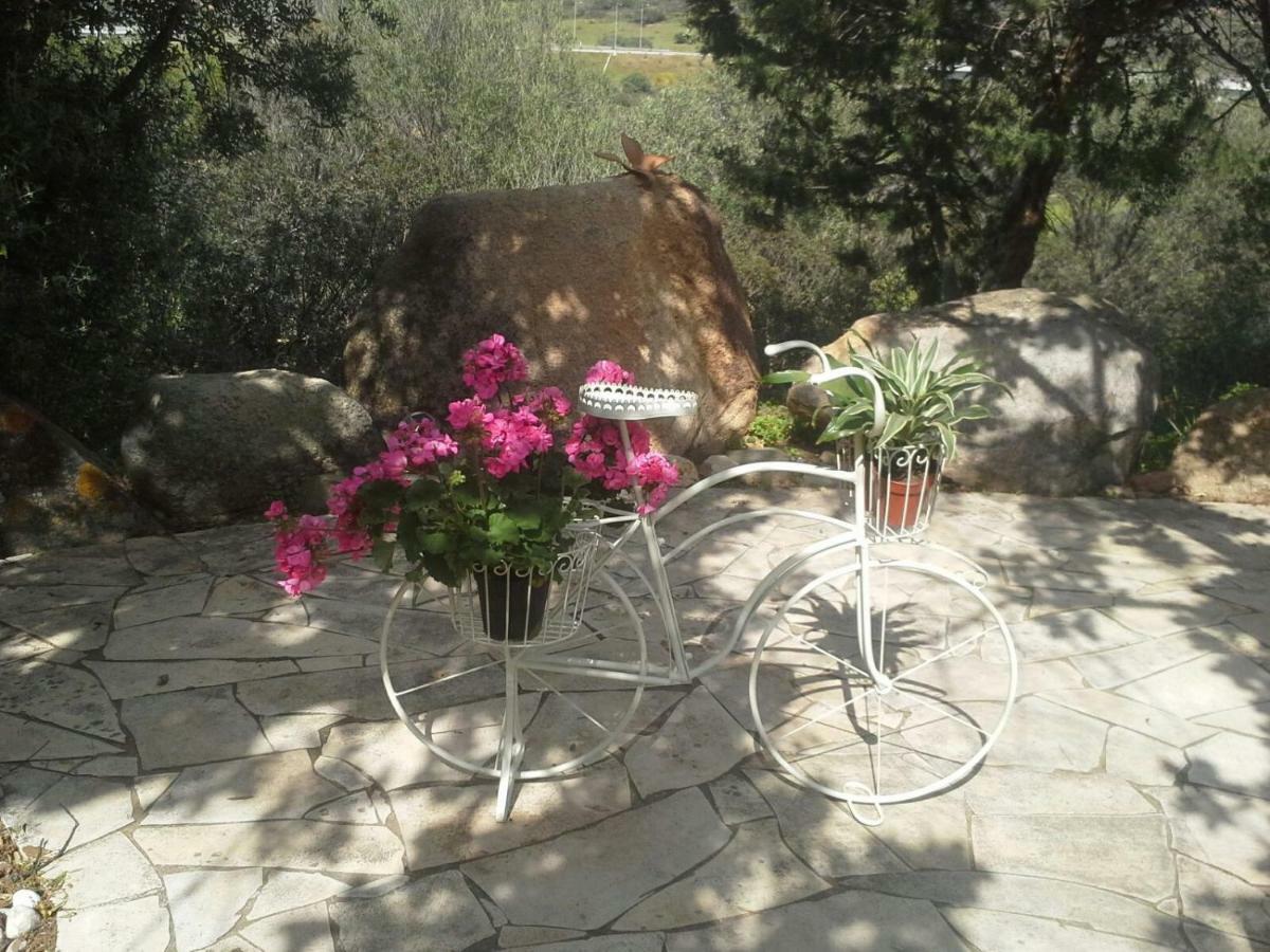 Villa Desideria B&B 캐피타나 외부 사진